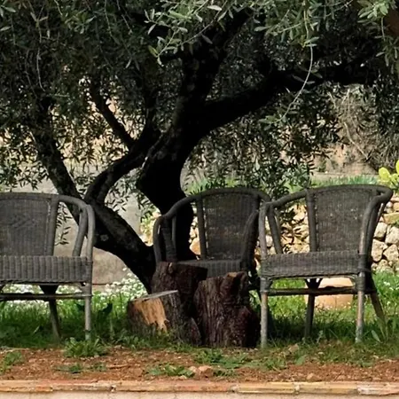 Luxury Provence Bastide - 6 Bedroom House *